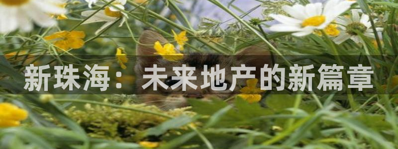 新宝5测速登陆：新珠海：未来地产的新篇章