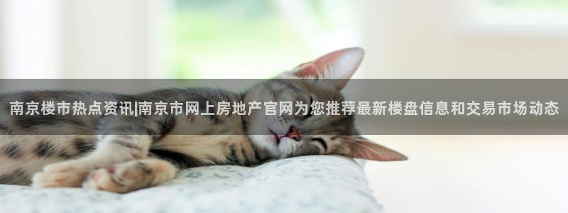 老新宝5授权登录