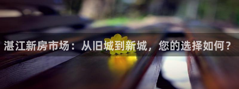 新宝5娱乐平台：湛江新房市场：从旧城到新城，您的选择如何？