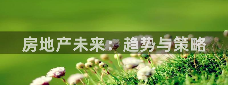 新宝5授权：房地产未来：趋势与策略