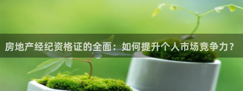 新宝5郑74OOO5：房地产经纪资格证的全面：如何提升个人市