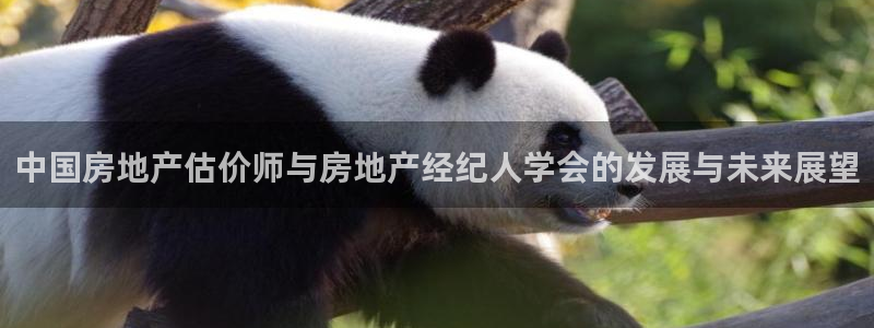 新宝5_测：中国房地产估价师与房地产经纪人学会的发展与未来展