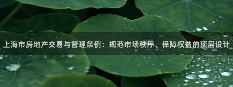 新宝5 代理：上海市房地产交易与管理条例：规范市场秩序、保障