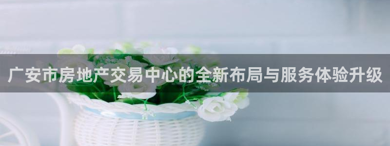 i新宝5：广安市房地产交易中心的全新布局与服务体验升级