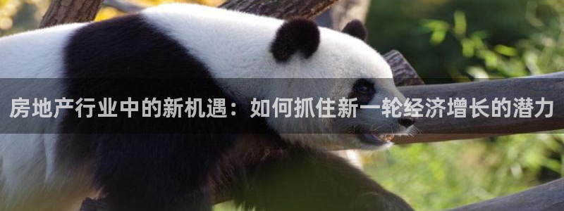 新宝5平台注册公司：房地产行业中的新机遇：如何抓住新一轮经济