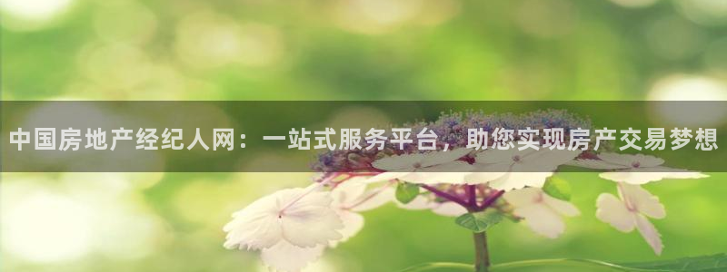 新宝5后：中国房地产经纪人网：一站式服务平台，助您实现房产交