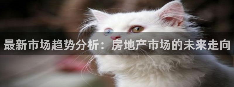 新宝5手机app：最新市场趋势分析：房地产市场的未来走向