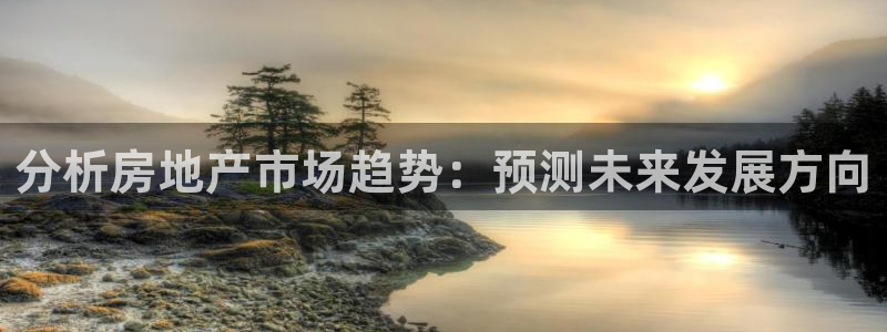新宝5安卓版：分析房地产市场趋势：预测未来发展方向