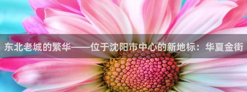 新宝5平棋牌：东北老城的繁华——位于沈阳市中心的新地标：华夏