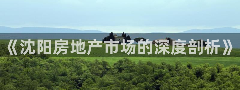 新宝5网址：《沈阳房地产市场的深度剖析》