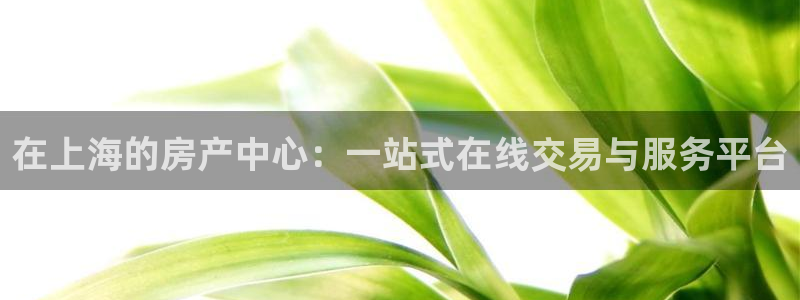 新宝b2O5O5O：在上海的房产中心：一站式在线交易与服务平