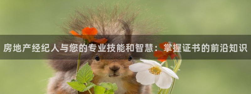 新宝5娱乐手机登录：房地产经纪人与您的专业技能和智慧：掌握证