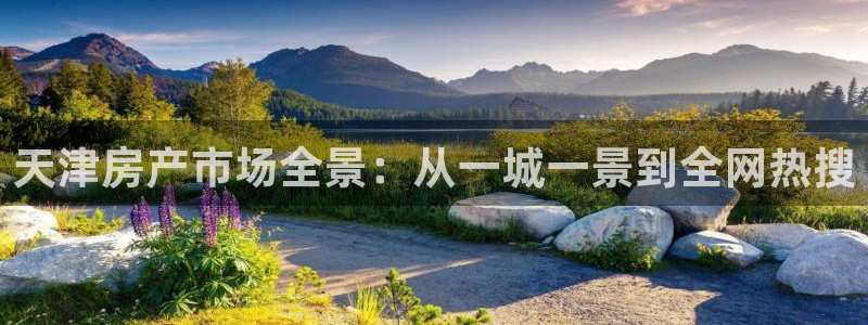 新宝5飞355051：天津房产市场全景：从一城一景到全网热搜