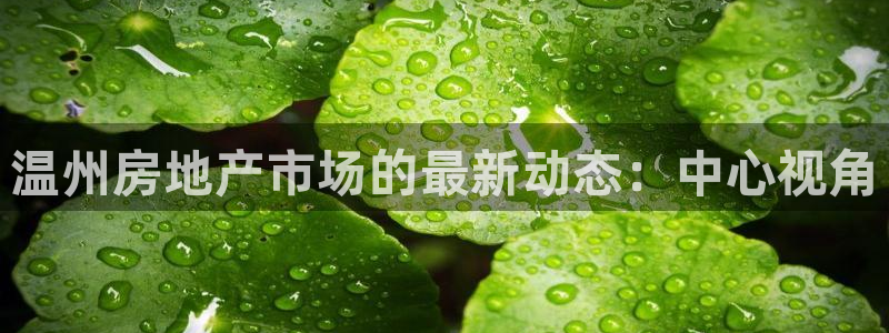 新宝5手机版：温州房地产市场的最新动态：中心视角
