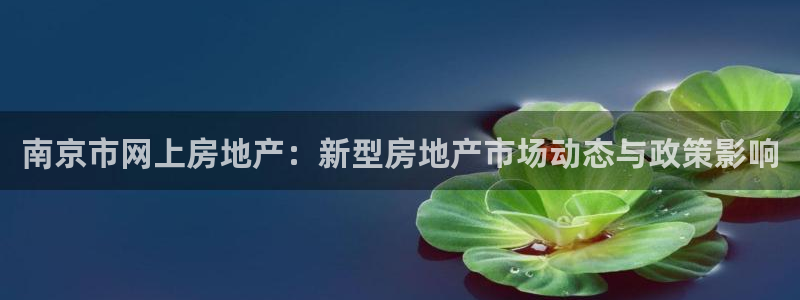 新宝测速5：南京市网上房地产：新型房地产市场动态与政策影响
