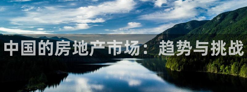 新宝5电脑：中国的房地产市场：趋势与挑战