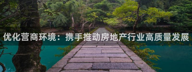 新宝5怎么下载到桌面：优化营商环境：携手推动房地产行业高质量