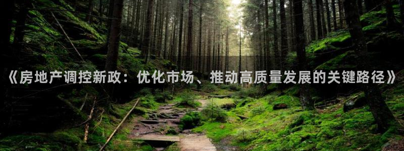 新宝xb5：《房地产调控新政：优化市场、推动高质量发展的关键