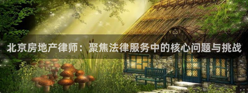 新宝5褚32OO59：北京房地产律师：聚焦法律服务中的核心问