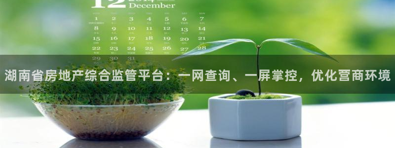 新宝5安卓版：湖南省房地产综合监管平台：一网查询、一屏掌控，