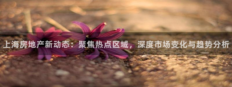 新宝5招商部：上海房地产新动态：聚焦热点区域，深度市场变化与