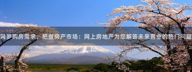 新宝5如何注册登录：网罗购房需求，把握房产市场：网上房地产为