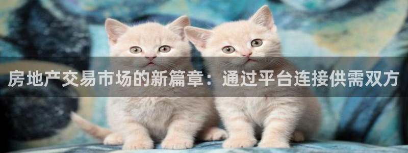 新宝5首页：房地产交易市场的新篇章：通过平台连接供需双方