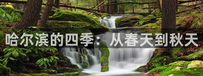 新宝娱乐5入口：哈尔滨的四季：从春天到秋天
