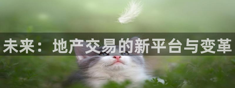 新宝5谠631257：未来：地产交易的新平台与变革