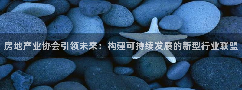 新宝5褚32OO59：房地产业协会引领未来：构建可持续发展的