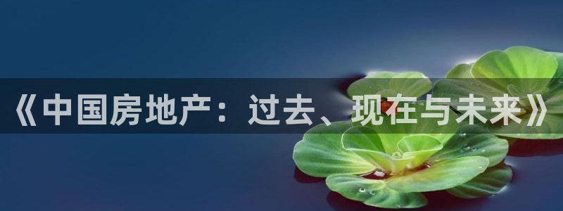 新宝5测试：《中国房地产：过去、现在与未来》