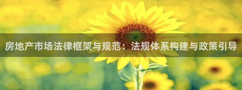 i新宝5：房地产市场法律框架与规范：法规体系构建与政策引导