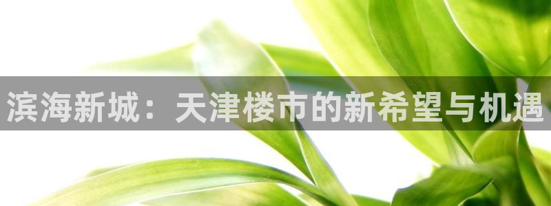 新宝5登录地址：滨海新城：天津楼市的新希望与机遇