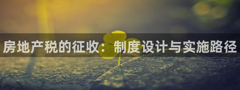 新宝5app：房地产税的征收：制度设计与实施路径