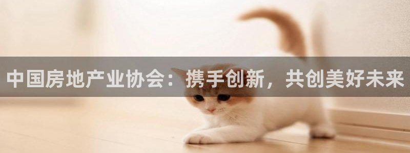 新宝5网址：中国房地产业协会：携手创新，共创美好未来