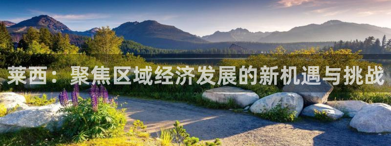 新宝5蒋7O667：莱西：聚焦区域经济发展的新机遇与挑战