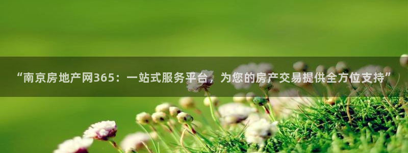 新宝5账号注册：“南京房地产网365：一站式服务平台，为您的