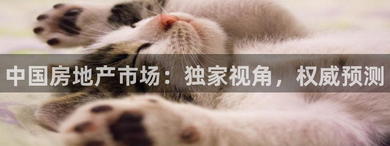 新宝5可靠吗：中国房地产市场：独家视角，权威预测