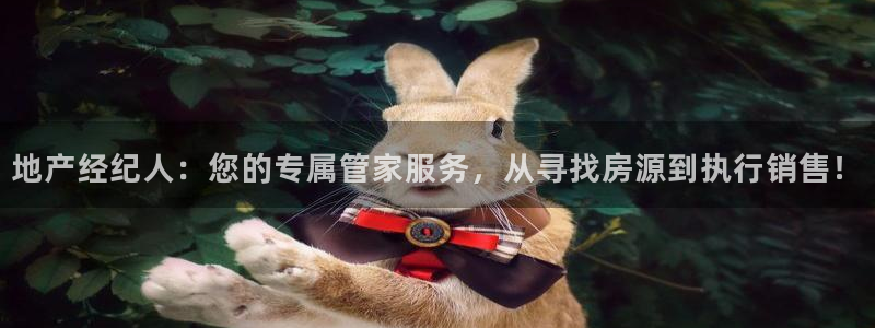 新宝5平台登录注册：地产经纪人：您的专属管家服务，从寻找房源