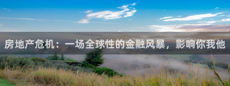 新宝股东张听2 5 5：房地产危机：一场全球性的金融风暴，影