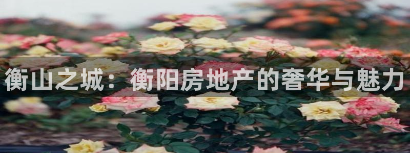 新宝5测速登陆：衡山之城：衡阳房地产的奢华与魅力