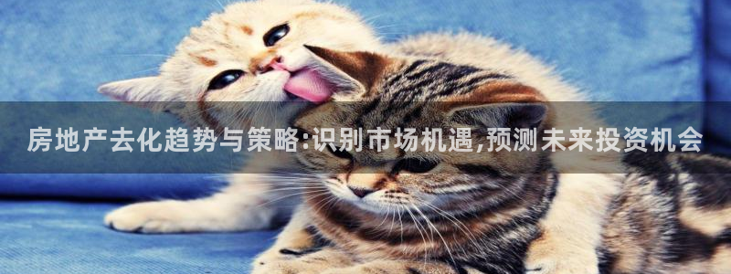 新宝5娱乐如