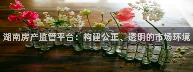 新宝5蒋74OOO5