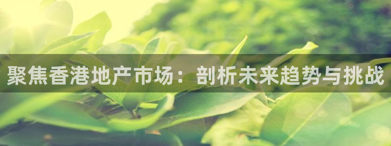 新宝5注册霸：聚焦香港地产市场：剖析未来趋势与挑战