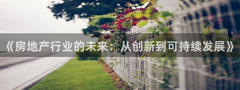 新宝5总代：《房地产行业的未来：从创新到可持续发展》