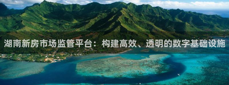 新宝5代理