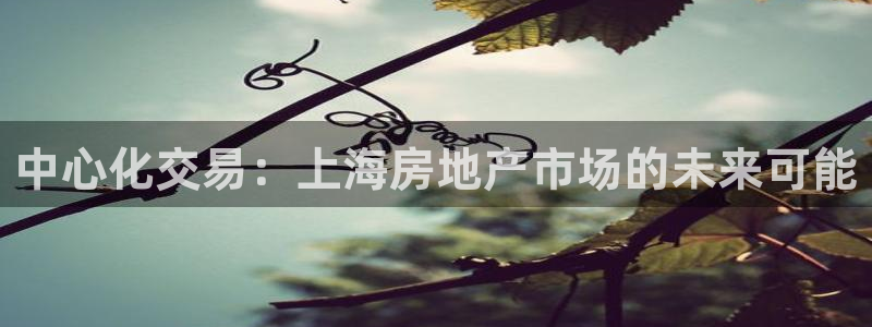 新宝5如何下载：中心化交易：上海房地产市场的未来可能