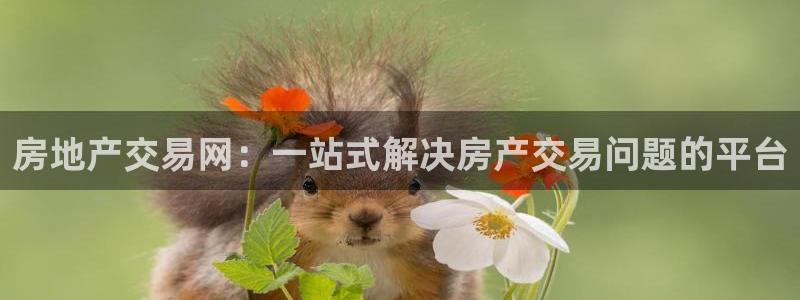 新宝5后：房地产交易网：一站式解决房产交易问题的平台