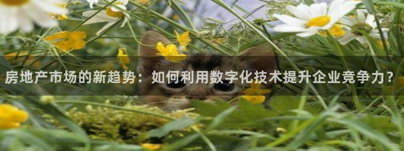 新宝5娱乐没：房地产市场的新趋势：如何利用数字化技术提升企业