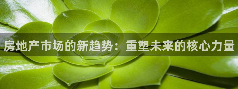新5宝：房地产市场的新趋势：重塑未来的核心力量